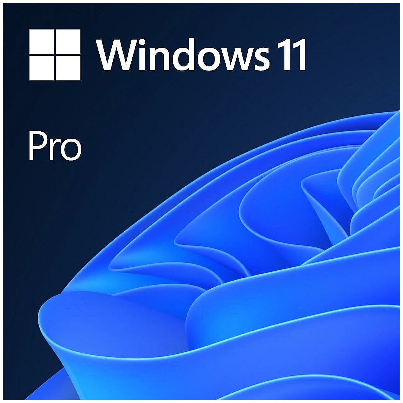 w-pro resim